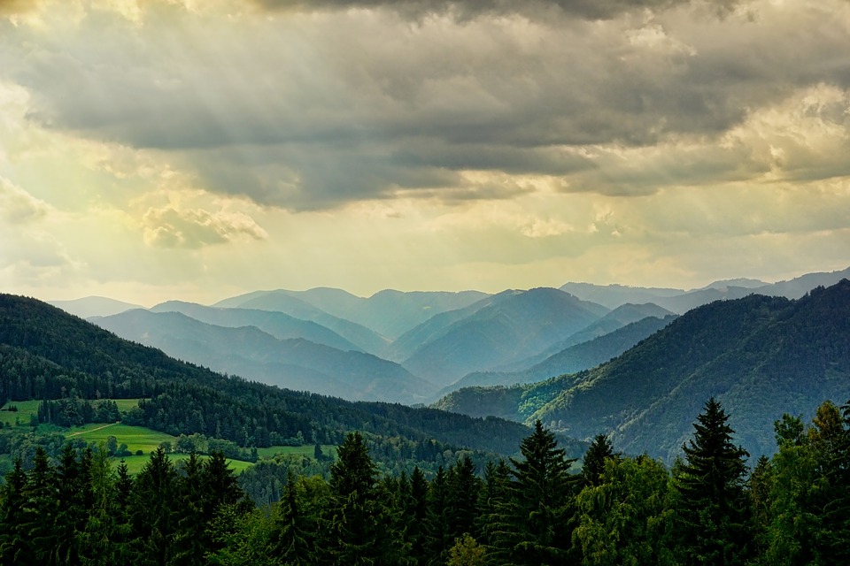nature-3616194_960_720